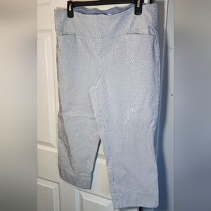 PantsSC & Co. Women's Blue & White Pin Stripe Capri Tummy Control Size 16 CUTE